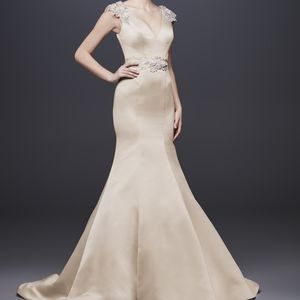 Zac Posen champagne wedding dress size 2